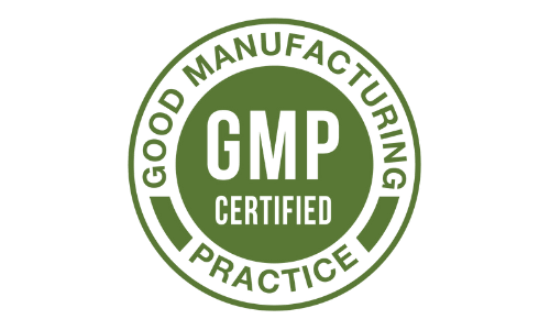 Fast Brain Booster GMP Certified